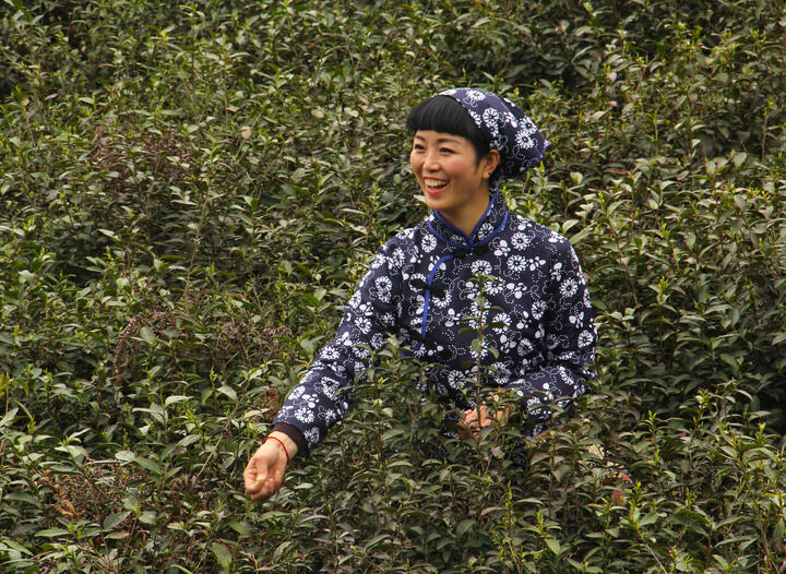 热门12
